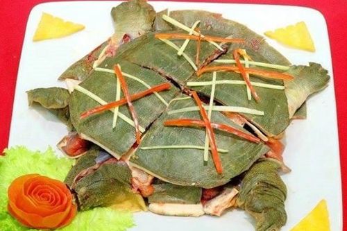 Người đàn ông suýt mất mạng vì ăn thịt ba ba