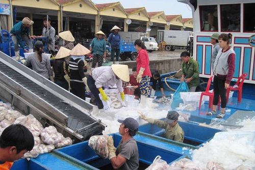 Doanh nghiệp thủy sản bức xúc bị 'đẻ' thêm chi phí cấp giấy xác nhận