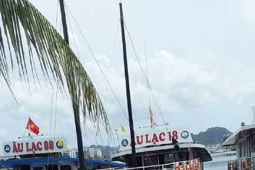 Đình chỉ 90 ngày, tạm dừng hoạt động đối với tàu Âu Lạc 18