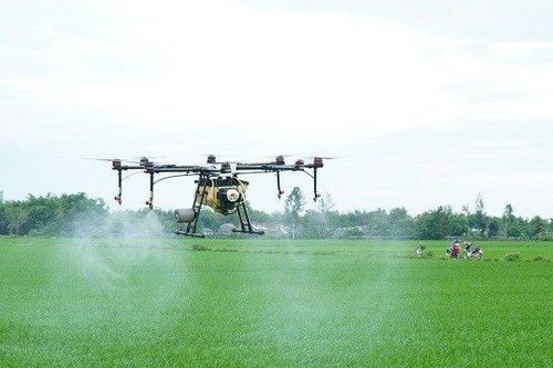Độc đáo phun thuốc trừ sâu bằng thiết bị bay không người lái