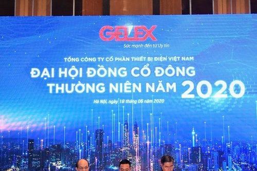 Trước khó khăn của dịch covid, GELEX vẫn có điểm sáng