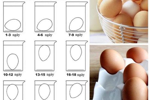 Muốn chọn trứng gà tươi ngon chỉ cần làm đúng 1 việc, bà bán hàng chắn chắn không bao giờ tiết lộ