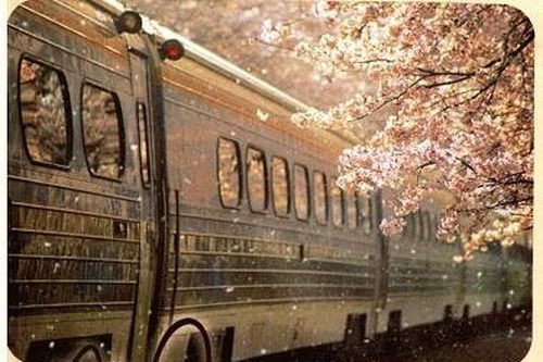 'Mãi Mãi Là Bao Xa' - Tiểu thuyết ngôn tình gây 'u mê' được chuyển thể thành phim