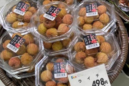 Vải thiều Việt Nam quả hot bên Nhật, lên kệ 500 ngàn/kg