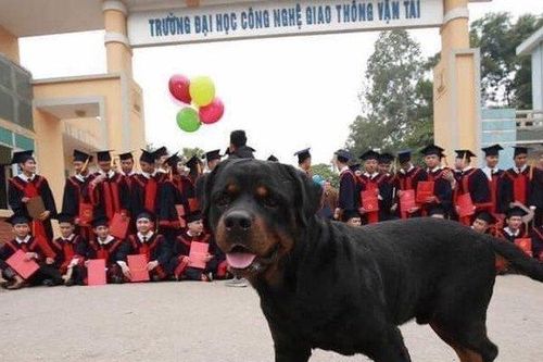 Cười té ghế với những bức ảnh kỷ yếu gây 'bão' mạng xã hội
