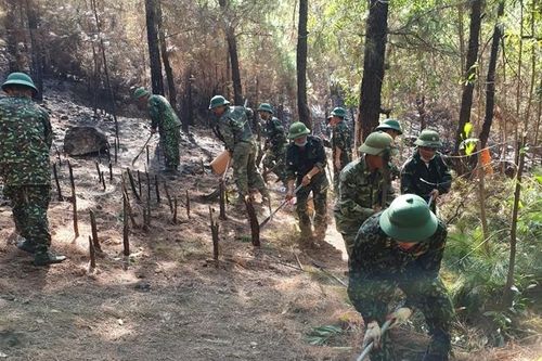 BĐBP Nghệ An tham gia khống chế thành công đám cháy rừng trên diện rộng