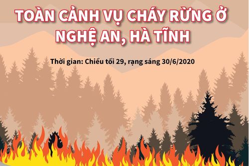 Toàn cảnh vụ cháy rừng ở Nghệ An, Hà Tĩnh