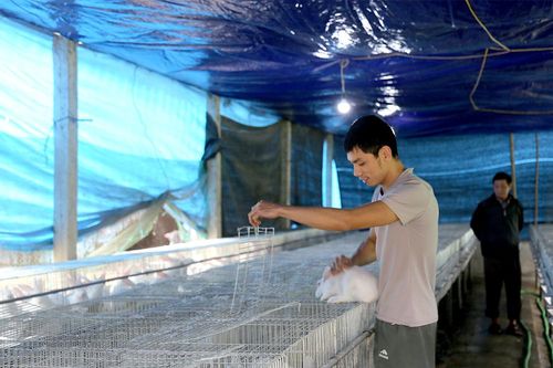 Tùng Khê đồng thuận xây dựng nông thôn mới