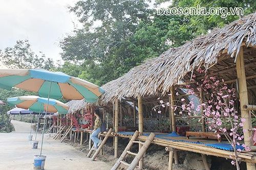 Trải nghiệm Thung lũng Hoa Ban Sơn La