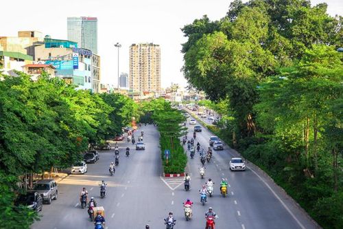 Màu xanh đang phủ phố phường