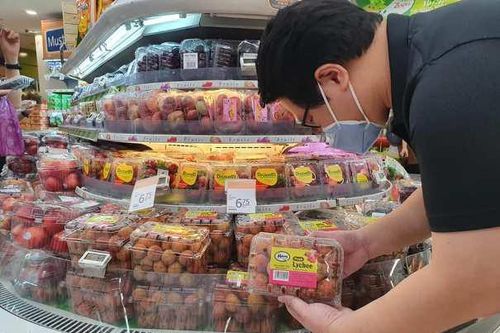 Vải thiều Việt Nam lần đầu tiên xuất sang Singapore