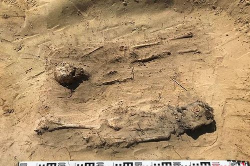 Rùng rợn hơn 100 bộ hài cốt thế kỷ 16 có đồng xu ở miệng