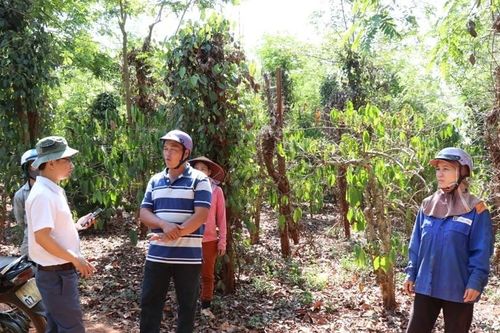 Yêu cầu xử lý dứt điểm 2 vụ việc khiếu nại đông người ở Gia Lai