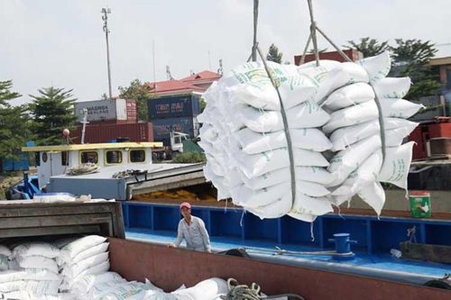 Mưa dai dẳng cản trở vụ thu hoạch, giá gạo của Việt Nam tăng