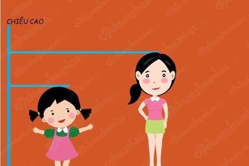 Thay đổi trên cơ thể bạn gái dậy thì