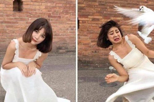 Người đẹp mất vía khi chụp ảnh với bồ câu