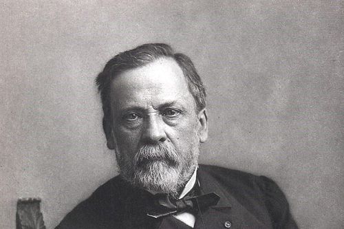 Louis Pasteur - từ sinh viên sư phạm đến cha đẻ của vaccine phòng dại