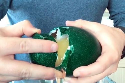 Hơn triệu đồng 1 quả trứng đà điểu xanh... có gì bổ béo?