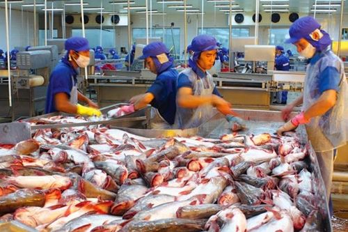 Xuất khẩu cá tra kỳ vọng phục hồi vào quý III/2020