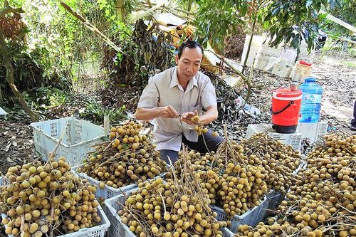 Châu Thành hướng tới huyện nông thôn mới