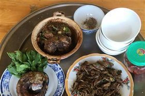 Cá lóc - từ đồng đến nhà
