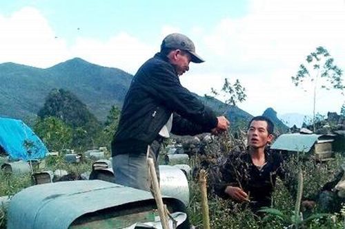 'Du mục' cùng ong