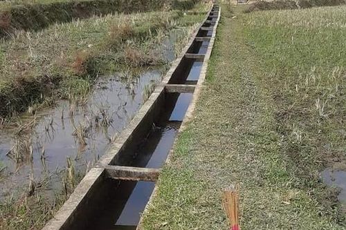 Phát hiện thi thể nữ sinh lớp 11 cạnh mương nước sau lễ tổng kết năm học