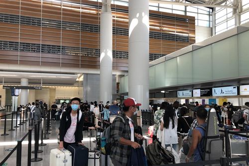 Công dân Việt Nam chết trong chuyến bay trở về từ Mỹ
