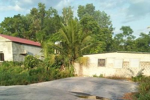 Trại chăn nuôi lợn gây ô nhiễm môi trường