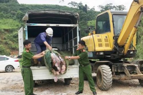 Tiêu hủy 450 kg thực phẩm không rõ nguồn gốc xuất xứ