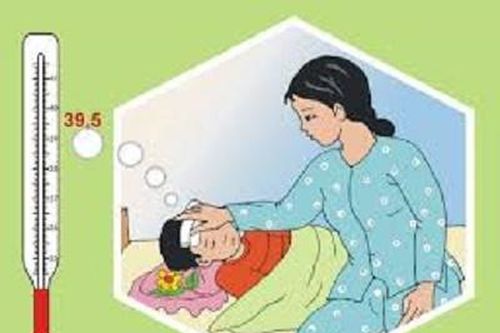 Trẻ sốt, cẩn trọng với viêm não Nhật Bản và cách phát hiện sớm