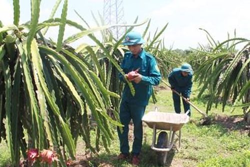 Tăng gia sản xuất trong vùng hạn hán