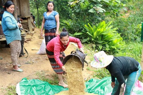 Xây dựng 'pháo đài' của Đảng ở biên giới