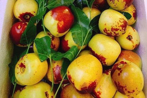 Đắt gấp 5 lần hàng Mỹ, loại quả Trung Quốc được ráo riết lùng mua