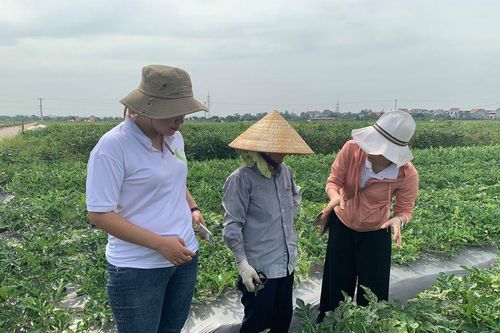 Chương trình Hạnh phúc Quảng Trị giúp phụ nữ Mò Ó vươn lên thoát nghèo