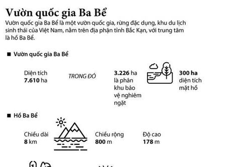 Vườn quốc gia Ba Bể - 'Lá phổi xanh' giữa đại ngàn