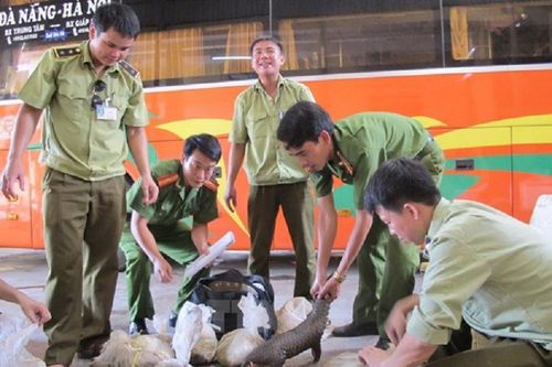 WWF hoan nghênh Chỉ thị mới của Thủ tướng Chính phủ về giải quyết nạn buôn bán trái phép động vật hoang dã