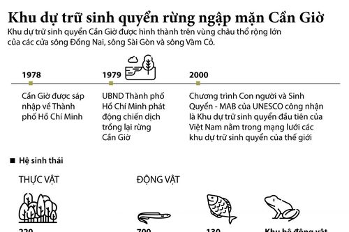 Khu dự trữ sinh quyển rừng ngập mặn Cần Giờ
