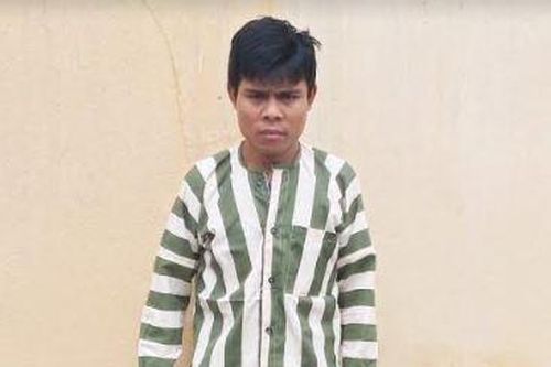Đối tượng chủ mưu trong vụ phá rừng huyện K'Bang ra đầu thú