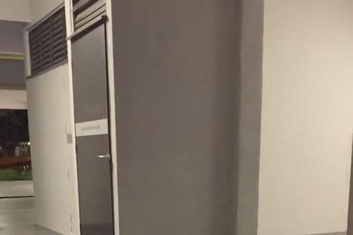 Sốc với hai con chuột đứng bằng hai chân đấm nhau túi bụi như người