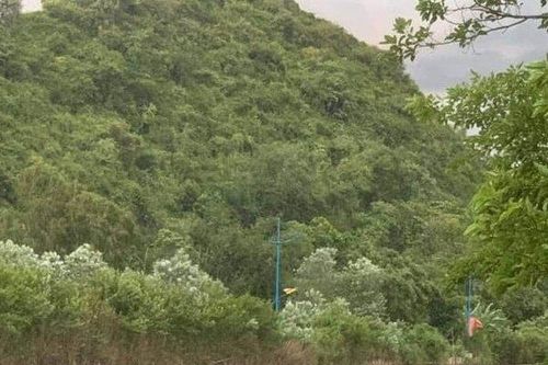 Mưa dông kèm gió giật mạnh làm lật thuyền chở 4 người ở chùa Hương
