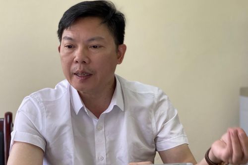 Dịch 'chết héo': Nguy cơ đe dọa nguồn nguyên liệu gỗ