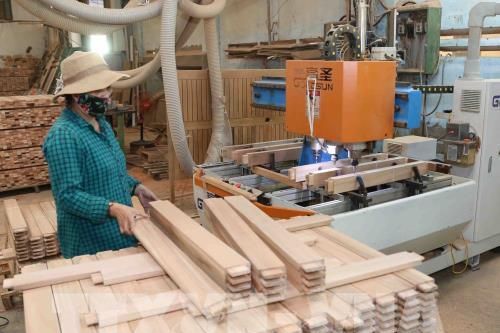 Dự báo xuất khẩu gỗ vẫn đạt 12 tỷ USD