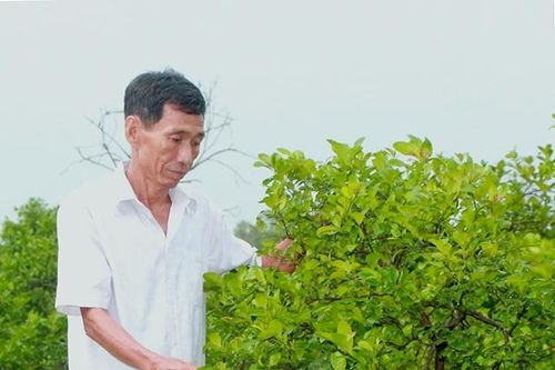 Nghị lực của người cựu chiến binh