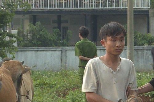 Trộm bò thuê xe tải chở từ Khánh Hòa lên Đắk Lắk bán