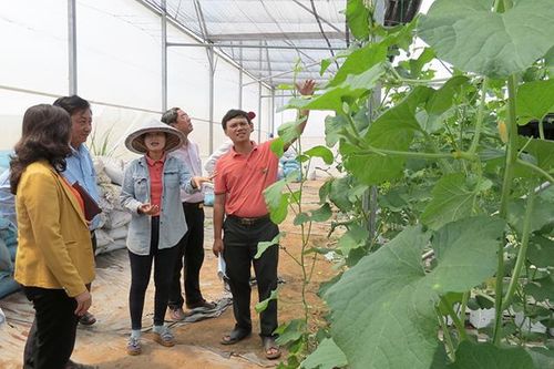 Khuyến khích doanh nghiệp đầu tư vào nông nghiệp, nông thôn