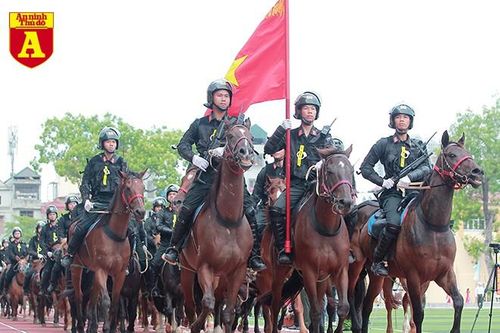 Mãn nhãn với màn trình diễn của Cảnh sát cơ động Kỵ binh