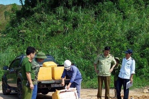 Bị phạt 20 triệu đồng vì kinh doanh nầm lợn đông lạnh nhập lậu