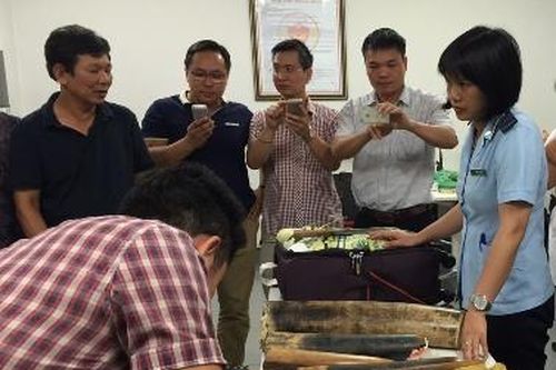 Tạm dừng nhập khẩu động vật hoang dã