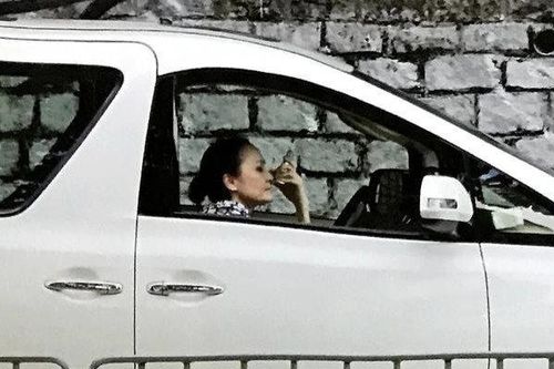 Trương Bá Chi nổi tiếng giàu có nhưng vẫn để mẹ ruột lái taxi kiếm tiền